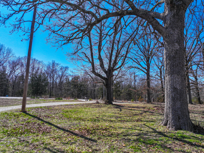 Home on acreage for sale Collins MO - image 38
