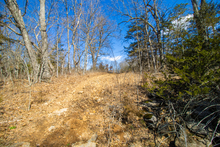 Home on acreage for sale Collins MO - image 45