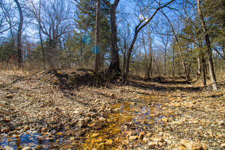Home on acreage for sale Collins MO - image 43