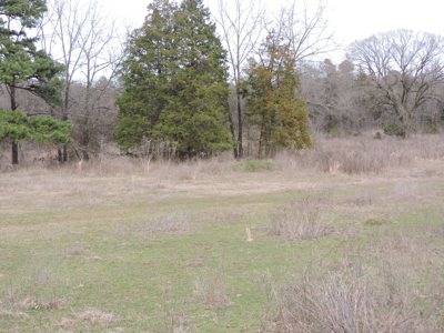 110 acres Prepper's Paradise FOR SALE IN OUACHITA NATIONAL FOREST - image 48