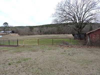 110 acres Prepper's Paradise FOR SALE IN OUACHITA NATIONAL FOREST - image 46
