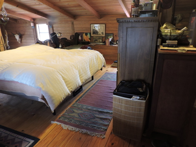 110 acres Prepper's Paradise FOR SALE IN OUACHITA NATIONAL FOREST - image 13