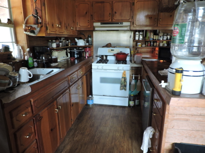 110 acres Prepper's Paradise FOR SALE IN OUACHITA NATIONAL FOREST - image 8