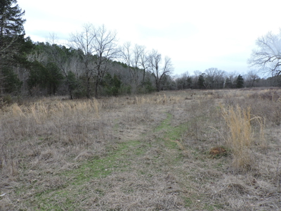 110 acres Prepper's Paradise FOR SALE IN OUACHITA NATIONAL FOREST - image 47