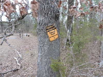 110 acres Prepper's Paradise FOR SALE IN OUACHITA NATIONAL FOREST - image 49
