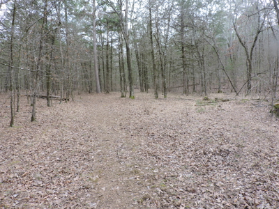 110 acres Prepper's Paradise FOR SALE IN OUACHITA NATIONAL FOREST - image 37