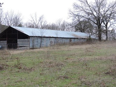 110 acres Prepper's Paradise FOR SALE IN OUACHITA NATIONAL FOREST - image 39