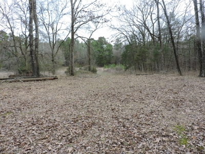 110 acres Prepper's Paradise FOR SALE IN OUACHITA NATIONAL FOREST - image 31