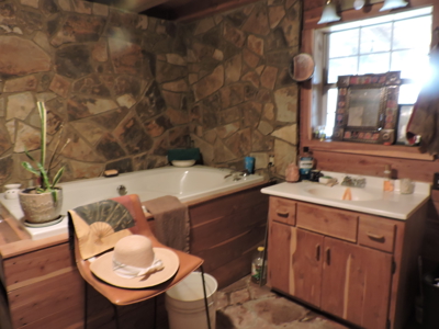 110 acres Prepper's Paradise FOR SALE IN OUACHITA NATIONAL FOREST - image 12