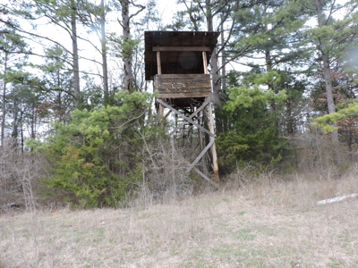 110 acres Prepper's Paradise FOR SALE IN OUACHITA NATIONAL FOREST - image 34
