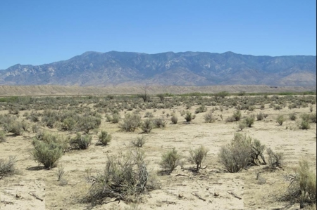 Online Cattle Ranch Land Auction 476.33 Acres (Pima, AZ) - image 7