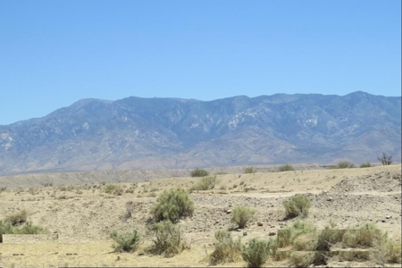 Online Cattle Ranch Land Auction 476.33 Acres (Pima, AZ) - image 8