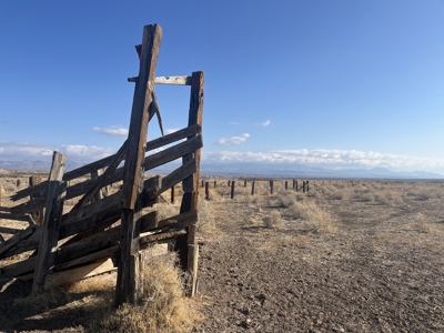 Online Cattle Ranch Land Auction 476.33 Acres (Pima, AZ) - image 29