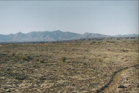 Online Cattle Ranch Land Auction 476.33 Acres (Pima, AZ) - image 4