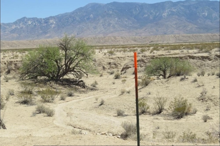 Online Cattle Ranch Land Auction 476.33 Acres (Pima, AZ) - image 6