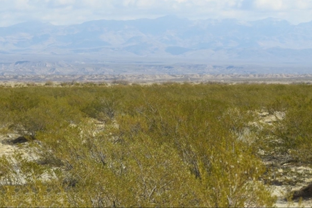 Online Cattle Ranch Land Auction 476.33 Acres (Pima, AZ) - image 13