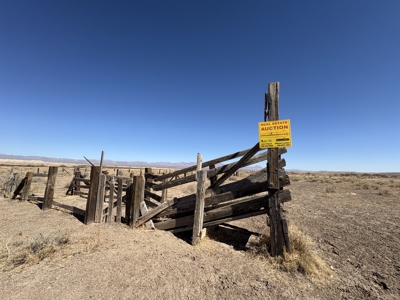 Online Cattle Ranch Land Auction 476.33 Acres (Pima, AZ) - image 16