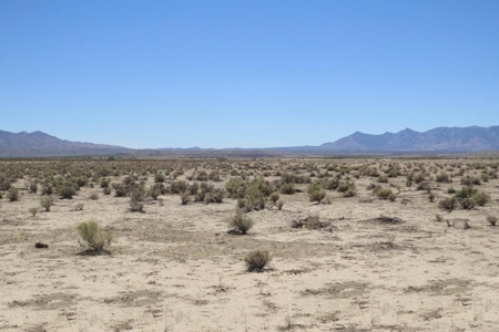 Online Cattle Ranch Land Auction 476.33 Acres (Pima, AZ) - image 5