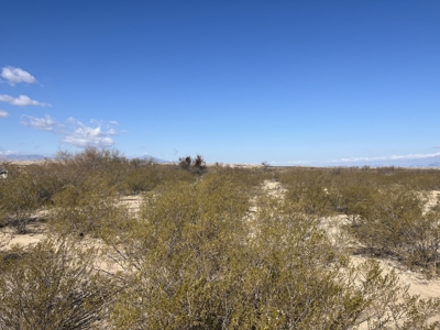 Online Cattle Ranch Land Auction 476.33 Acres (Pima, AZ) - image 24