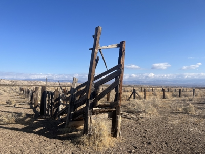 Online Cattle Ranch Land Auction 476.33 Acres (Pima, AZ) - image 28