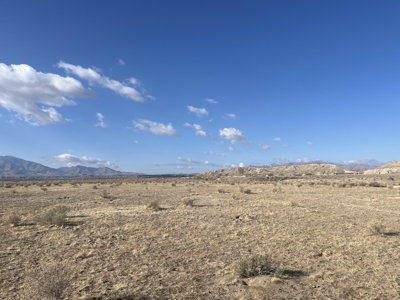 Online Cattle Ranch Land Auction 476.33 Acres (Pima, AZ) - image 23