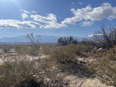Online Cattle Ranch Land Auction 476.33 Acres (Pima, AZ) - image 30