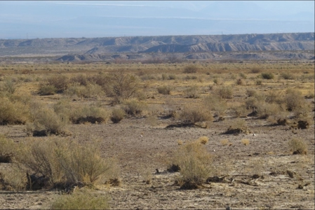 Online Cattle Ranch Land Auction 476.33 Acres (Pima, AZ) - image 11