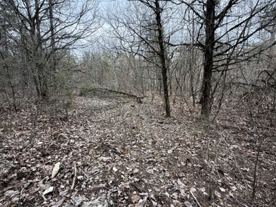 Land For Sale In North Central Arkansas - image 7