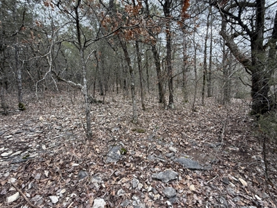 Land For Sale In North Central Arkansas - image 6