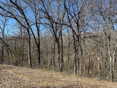 Land For Sale In North Central Arkansas - image 15