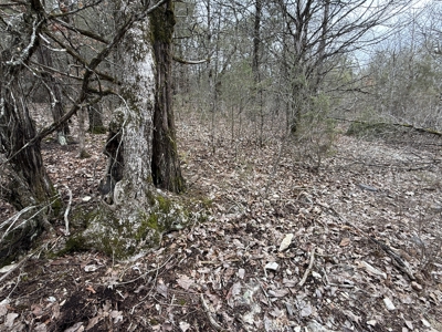Land For Sale In North Central Arkansas - image 8