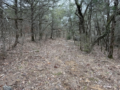 Land For Sale In North Central Arkansas - image 17