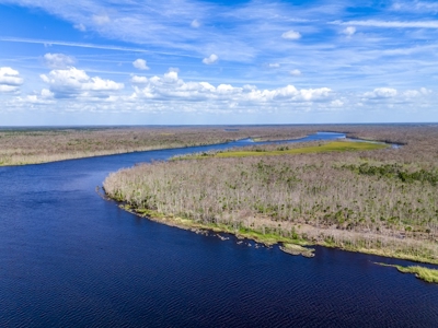 Investment Property for Sale in Suwannee FL! - image 18