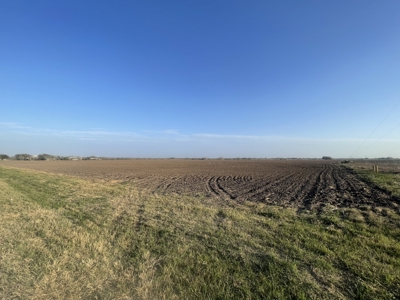 Acreage for Sale in St Paul, TX - image 3