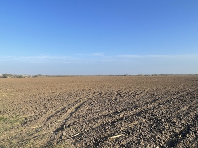 Acreage for Sale in St Paul, TX - image 1