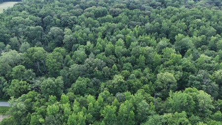 Warrick County Indiana Land For Sale - image 5