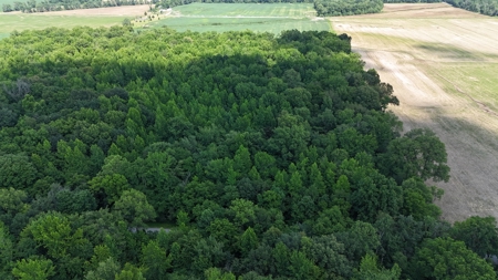 Warrick County Indiana Land For Sale - image 1