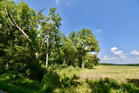 Warrick County Indiana Land For Sale - image 28