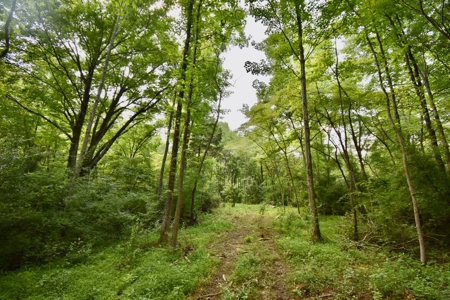 Warrick County Indiana Land For Sale - image 12