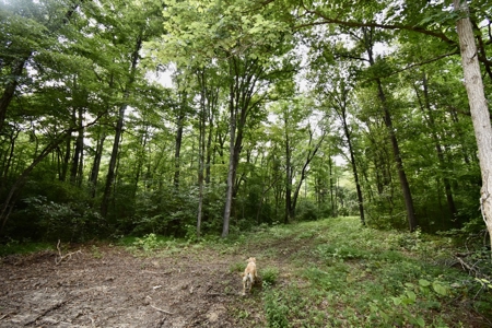 Warrick County Indiana Land For Sale - image 11