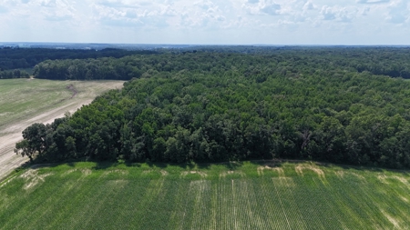 Warrick County Indiana Land For Sale - image 4