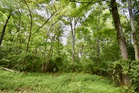 Warrick County Indiana Land For Sale - image 14
