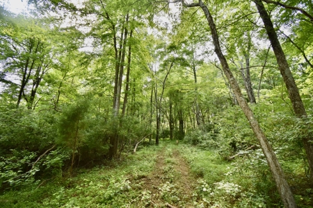 Warrick County Indiana Land For Sale - image 17