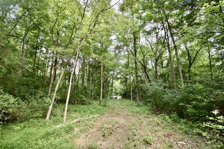 Warrick County Indiana Land For Sale - image 15