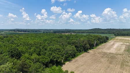 Warrick County Indiana Land For Sale - image 3
