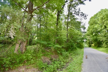 Warrick County Indiana Land For Sale - image 9