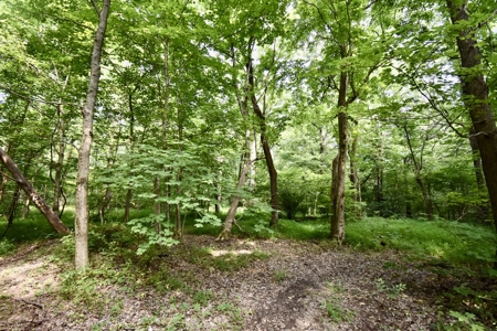 Warrick County Indiana Land For Sale - image 20