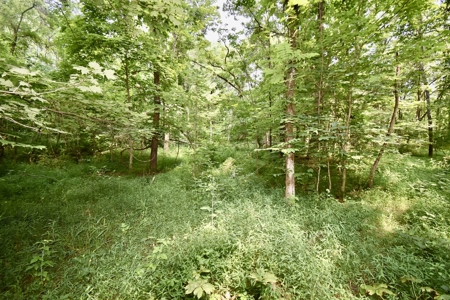 Warrick County Indiana Land For Sale - image 21