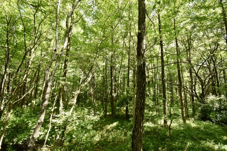 Warrick County Indiana Land For Sale - image 25