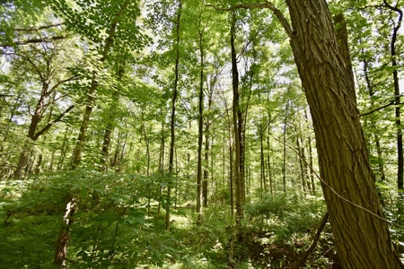 Warrick County Indiana Land For Sale - image 23